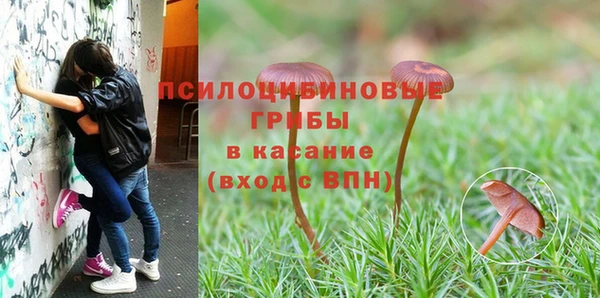 а пвп мука Россошь