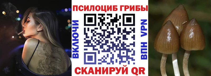 Псилоцибиновые грибы GOLDEN TEACHER  Красноуфимск 