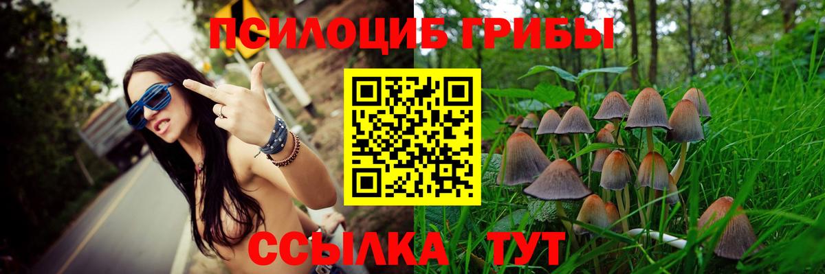 Красноуфимск  Галлюциногенные грибы Psilocybe  Вход с VPN 